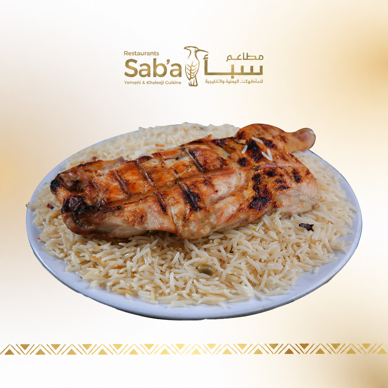 مظبي دجاج