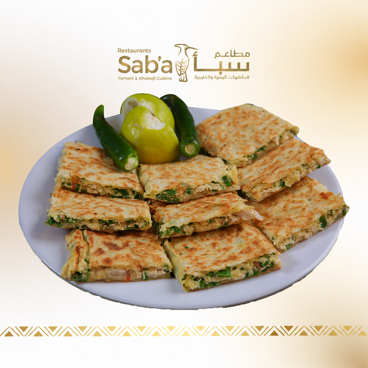 مطبق الدجاج بالخضار